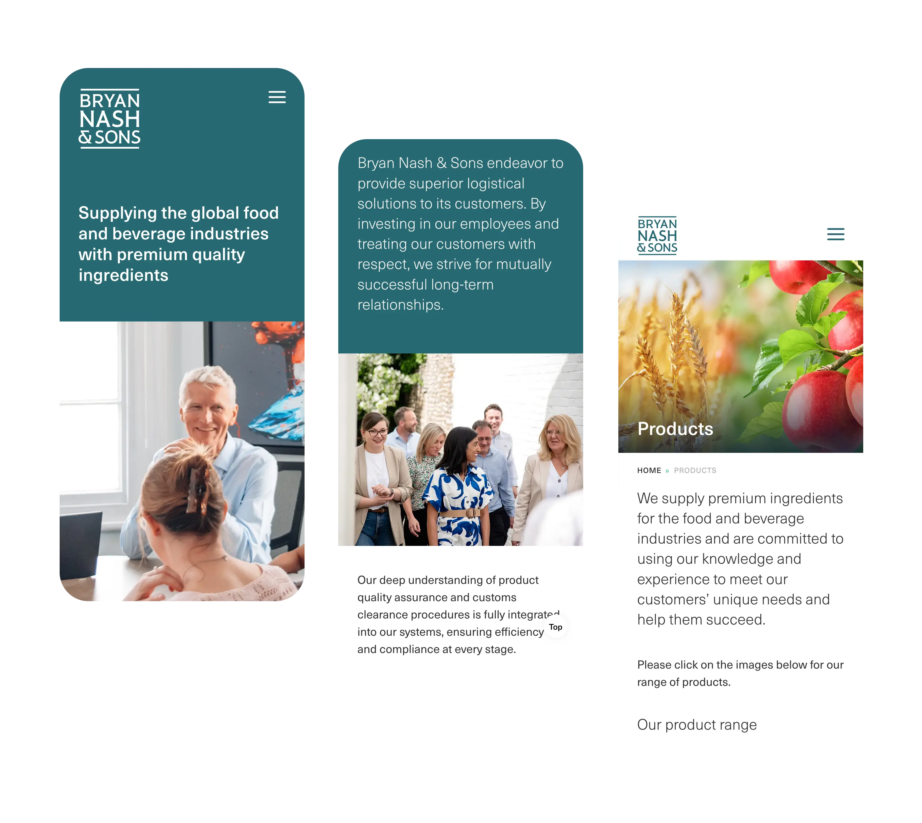 Bryan Nash & Sons - website mobile view
