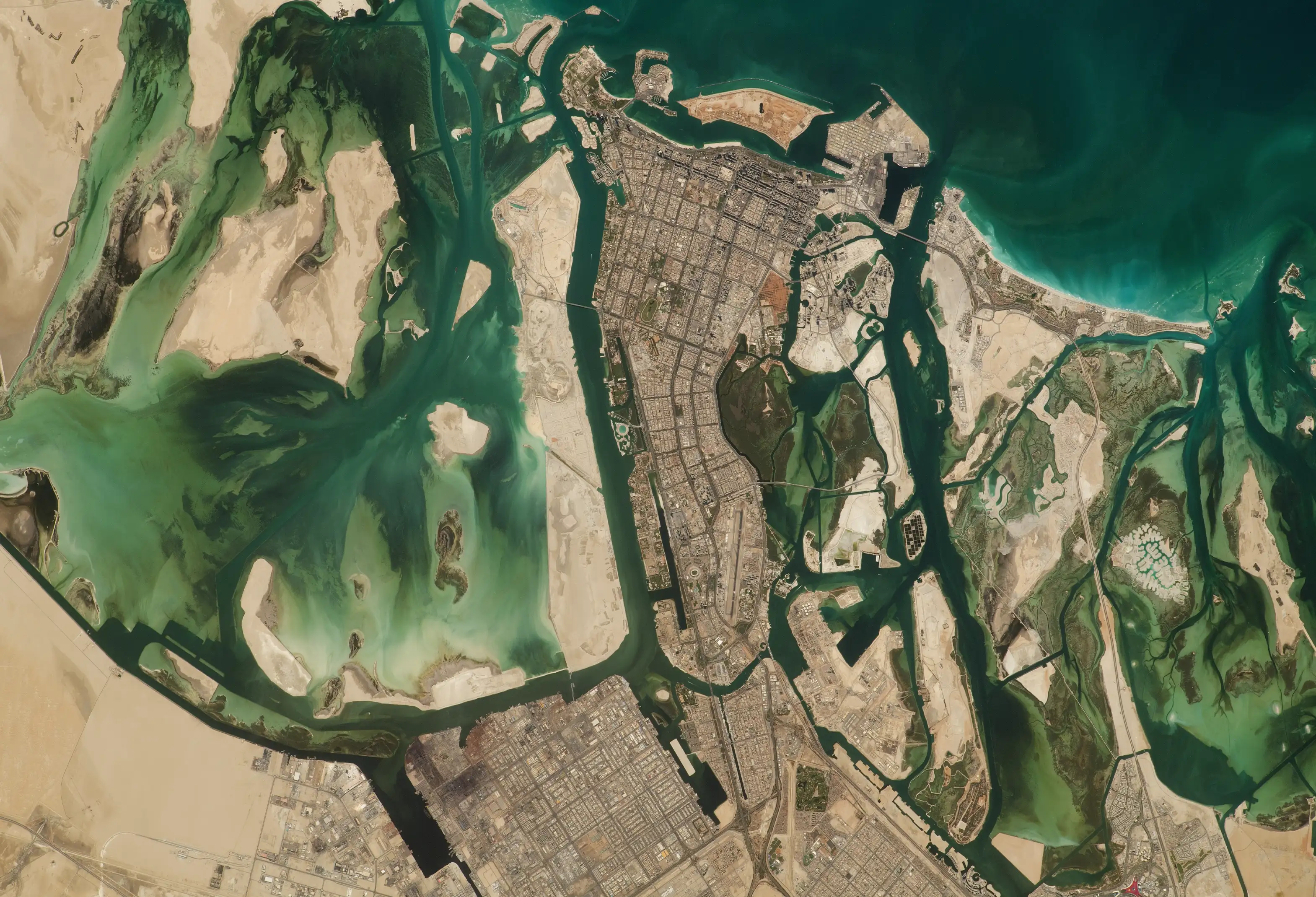 Palmes Advisory Group - website design